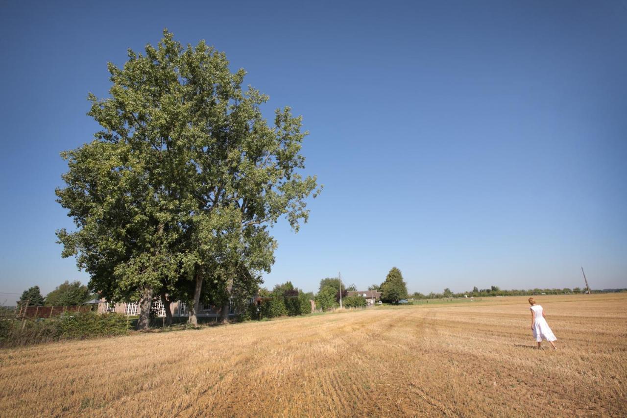 B&B Het Rooj Holsbeek Exteriér fotografie